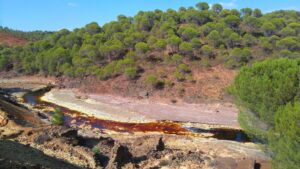 Rutas circulares para practicar senderismo en Huelva