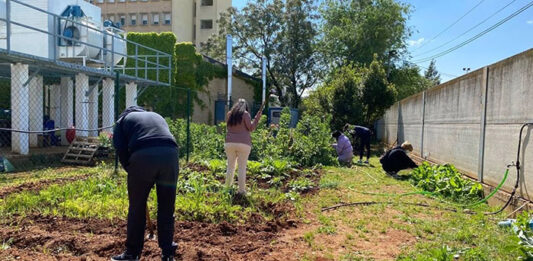 Cuidar un huerto, parte de la terapia de pacientes de Salud Mental de Linares