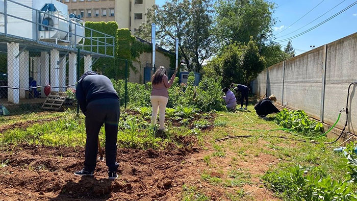 Cuidar un huerto, parte de la terapia de pacientes de Salud Mental de Linares