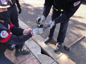 Bomberos de Huelva rescatan a cuatro cachorros de gato atrapados durante días