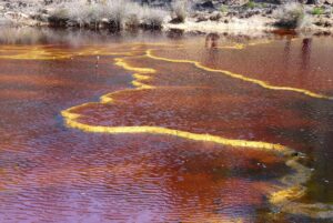 Plantean bioconstrucciones próximas al río Tinto para futuros hallazgos en Marte