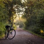 Día Mundial de la Bicicleta: Rutas en bicicleta más bonitas por Andalucía