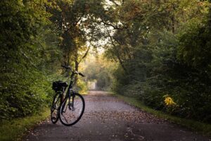 Día Mundial de la Bicicleta: Rutas en bicicleta más bonitas por Andalucía