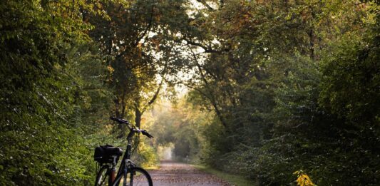 Día Mundial de la Bicicleta: Rutas en bicicleta más bonitas por Andalucía