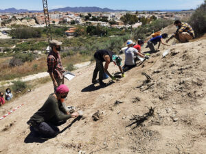 Vera comienza las excavaciones en busca de la desconocida ciudad medieval de Bayra