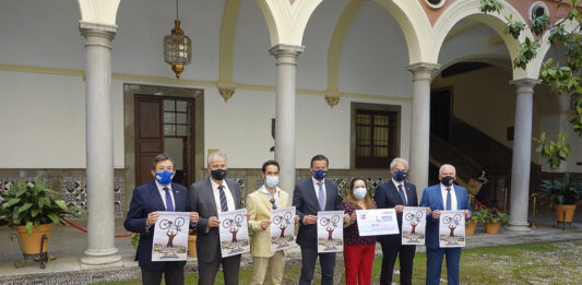 Granadino con parálisis cerebral hará en bici el Camino de Santiago por una causa solidaria