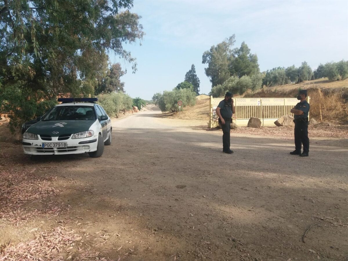 Nuevos apoyos en la búsqueda del obrero sepultado en Villanueva de la Reina