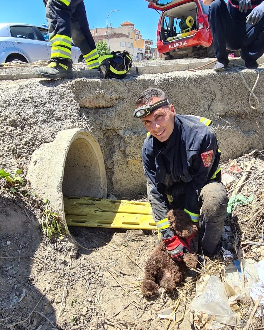 Rescatan a un cachorro de perro de agua atrapado en un desaguadero