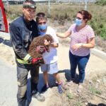 Rescatan a un cachorro de perro de agua atrapado en un desaguadero