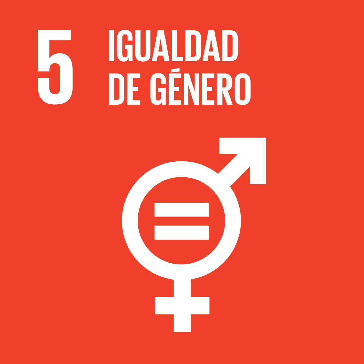 El reto de la igualdad de género y 9 años para cumplir con los ODS