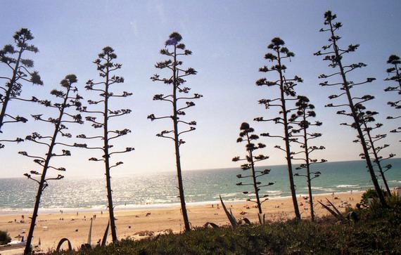 Playas con bandera azul 2021 en la provincia de Cádiz