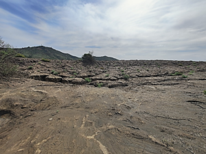 Demuestran que una mezcla de abonos favorecería la descontaminación de zonas mineras