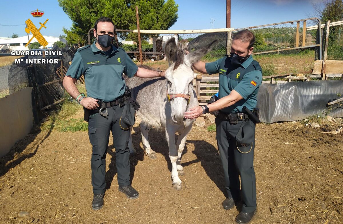 Guardia Civil rescata a un asno atrapado en un incendio