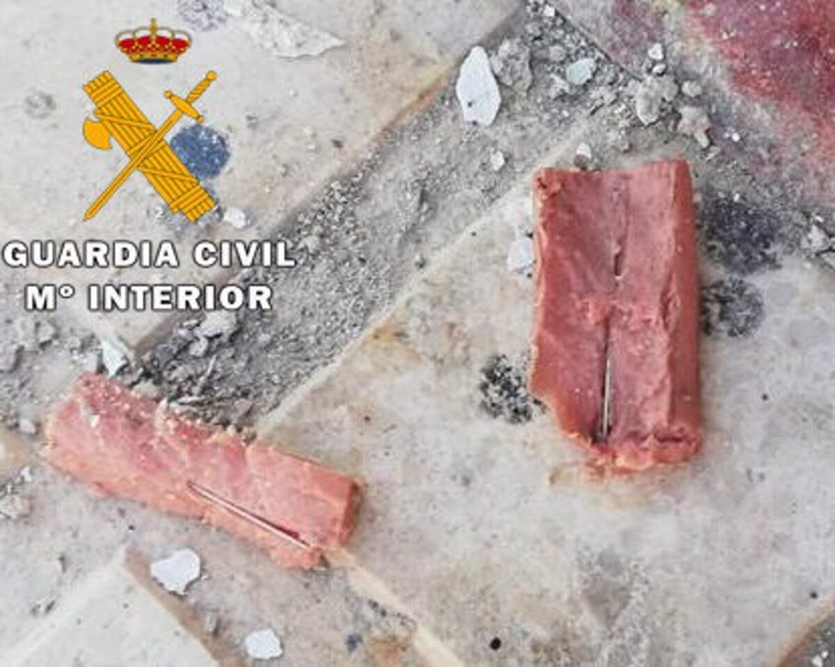 Pena de prisión por dejar en la calle comida para animales con alfileres