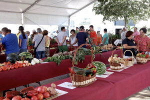 El Concurso de Hortalizas de Alcalá la Real retorna en agosto