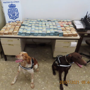 Perros policía detectan un millón de euros en un control de tráfico rutinario en Málaga