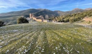 Mata Bejid, el pedacito de Jaén que cuenta la historia de la Reconquista