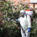 Andalucía intensifica las fumigaciones contra el mosquito del Nilo