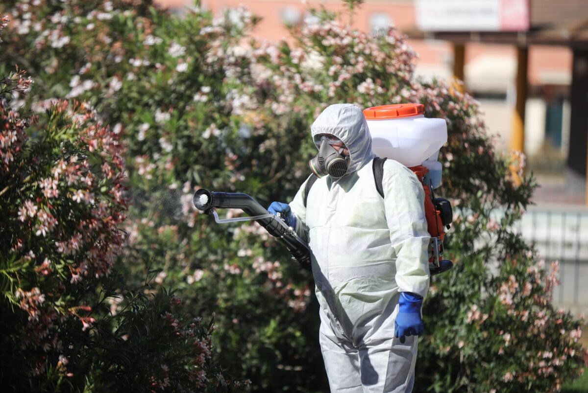 Andalucía intensifica las fumigaciones contra el mosquito del Nilo