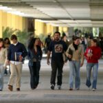 Estas son las carreras universitarias con mayor tasa de inserción laboral