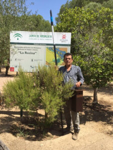 Colocan 30 cajas de biodiversidad en Doñana para combatir los mosquitos