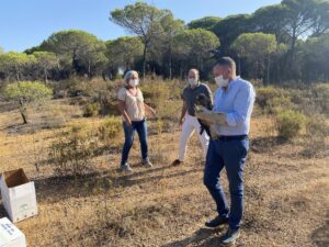 Liberan a dos águilas calzadas rehabilitadas en Huelva