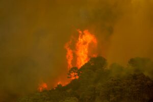 Fallece un bombero en las labores de extinción del incendio en Sierra Bermeja