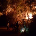 Más de 200 efectivos trabajan en el control del incendio de Sierra Bermeja