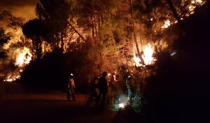 Más de 200 efectivos trabajan en el control del incendio de Sierra Bermeja