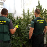 Acaban con un cultivo de marihuana en un patio comunitario en Puente Genil