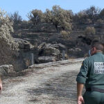 Detenido el presunto autor del incendio de Hinojos