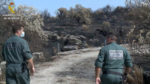 Detenido el presunto autor del incendio de Hinojos