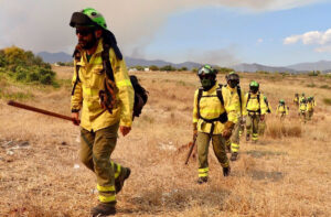 El Infoca da por controlado el incendio forestal en Sierra Bermeja