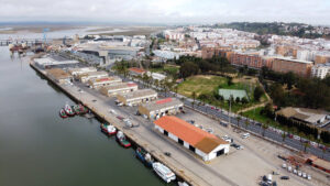 Nivel 1 de alerta sanitaria en toda Andalucía