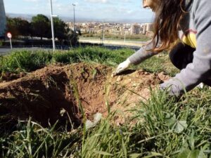 900 árboles y arbustos contra el cambio climático en Granada