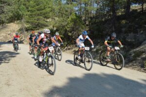 Comienzan en la provincia de Sevilla los circuitos de Ajedrez y de BTT Rall