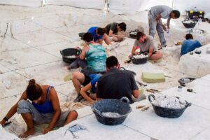 Descubren que el yacimiento de Venta Micena de Orce se originó en un lago de agua dulce