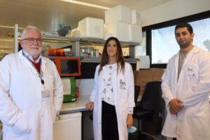 Descubren un herpesvirus que acelera el desgaste del sistema inmunitario