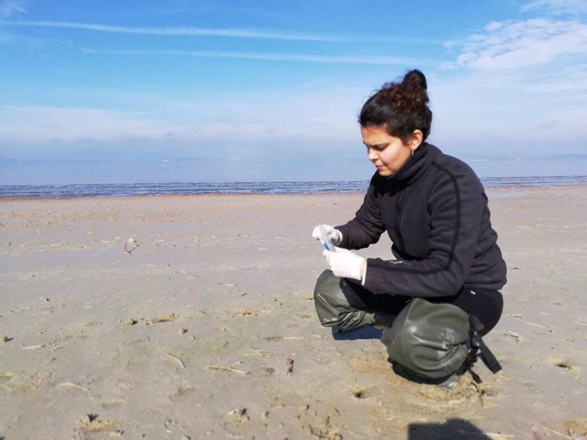 Relacionan la presencia de aves en entornos humanizados con el mal uso de los antibióticos