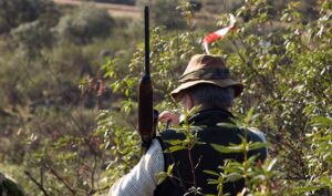 Muere un hombre al recibir un disparo durante una montería