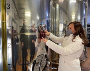 Un total de 17 cooperativas y almazaras de Jaén optan al mejor aceite del país