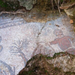 Un movimiento de tierras descubre un gran mosaico romano en un olivar de Adamuz