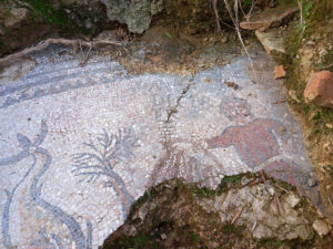 Un movimiento de tierras descubre un gran mosaico romano en un olivar de Adamuz