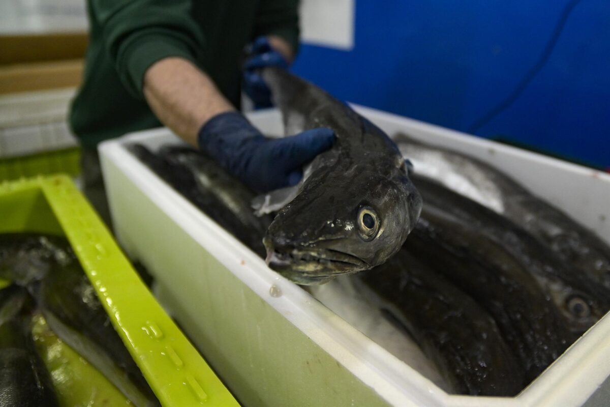 Andalucía eximirá a pescadores de tasas portuarias y pesqueras en sus puertos