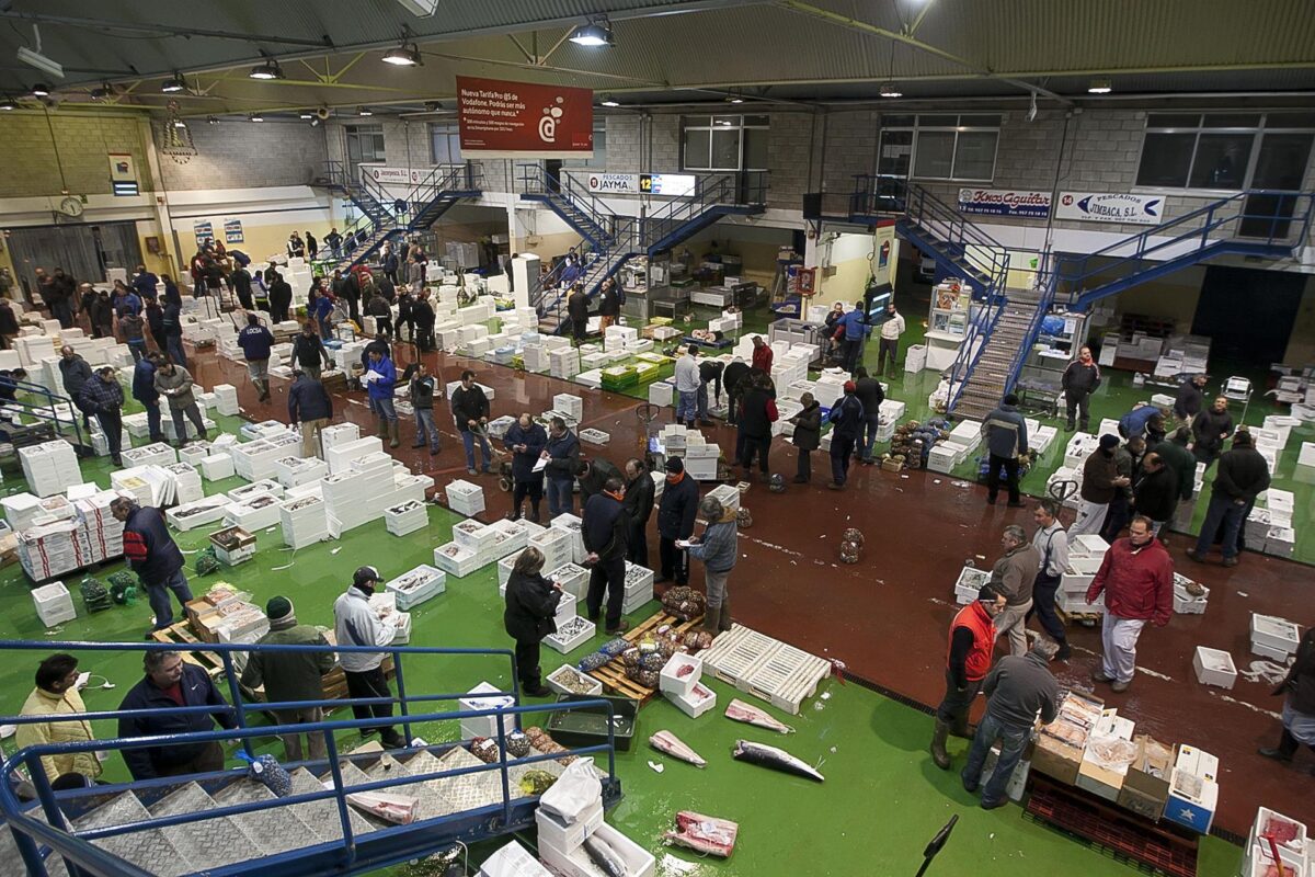 Mercados de Córdoba detallan un aumento en la entrada de alimentos