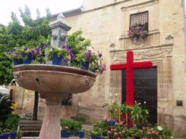 Ruta por las Cruces de Mayo de Córdoba que no te puedes perder