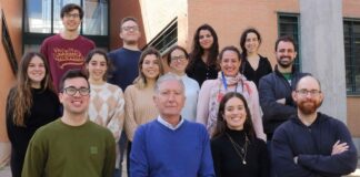 Ésta es la nueva vía de estudio para tratar enfermedades mitocondriales