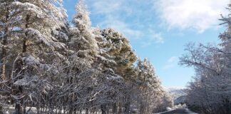 Nieve y lluvias hacen su aparición este martes en gran parte de Andalucía