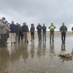 Liberan en la costa de Huelva tres tortugas marinas rescatadas por pescadores