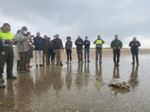 Liberan en la costa de Huelva tres tortugas marinas rescatadas por pescadores